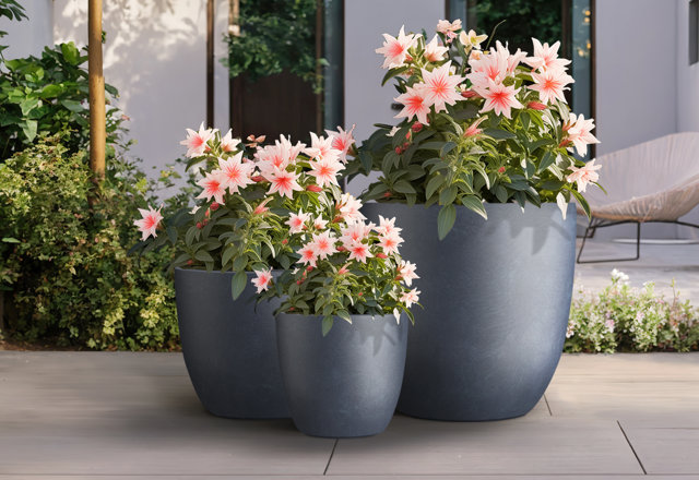 In-Stock Outdoor Planters